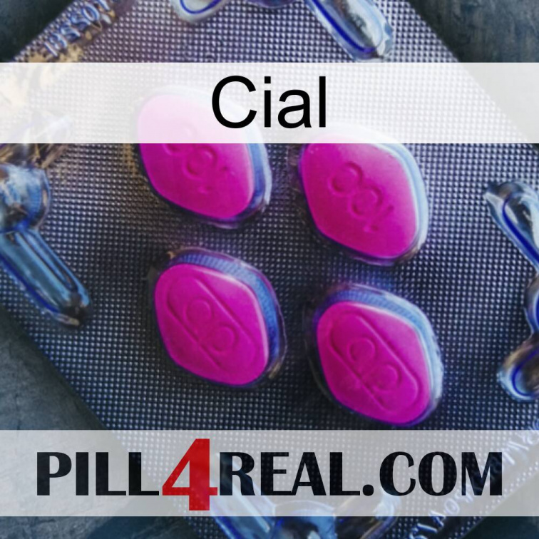 Cial 02